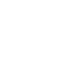 Innovation That Drives Success