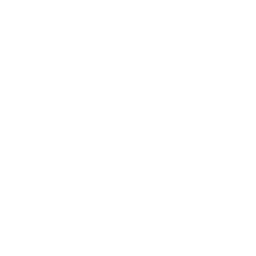 Expertise That Builds Trust